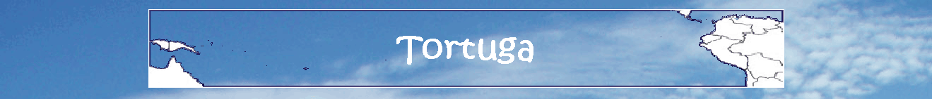 Tortuga
