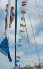 up the mast.jpg (64842 bytes)