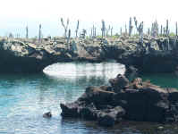 more tunnels.jpg (83803 bytes)