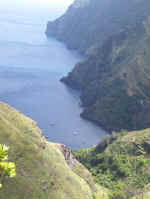 Alga in the bay.jpg (74375 bytes)
