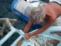 cleaning the hull.jpg (86552 bytes)