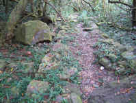 old road.jpg (115891 bytes)