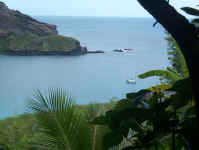 Alga in Hakahetau Bay.jpg (69327 bytes)