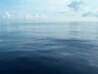 painted ocean.jpg (51903 bytes)