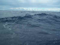 sea11.jpg (64826 bytes)