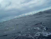 sea12.jpg (59913 bytes)