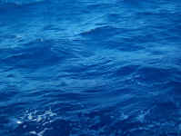 sea1.jpg (78628 bytes)
