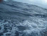sea2.jpg (77282 bytes)