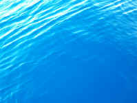 sea4.jpg (69657 bytes)