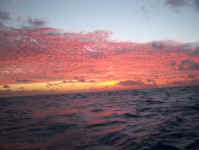 sea6.jpg (66692 bytes)