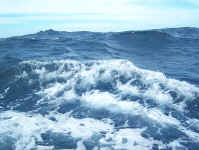 sea7.jpg (83524 bytes)