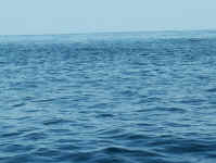 sea again.jpg (73217 bytes)