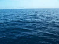 sea state what.jpg (70196 bytes)