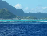 fringing reef.jpg (68665 bytes)