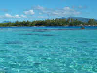 lagoon bombies.jpg (77241 bytes)