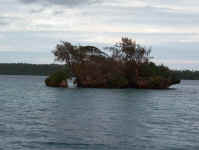 islet.jpg (66297 bytes)